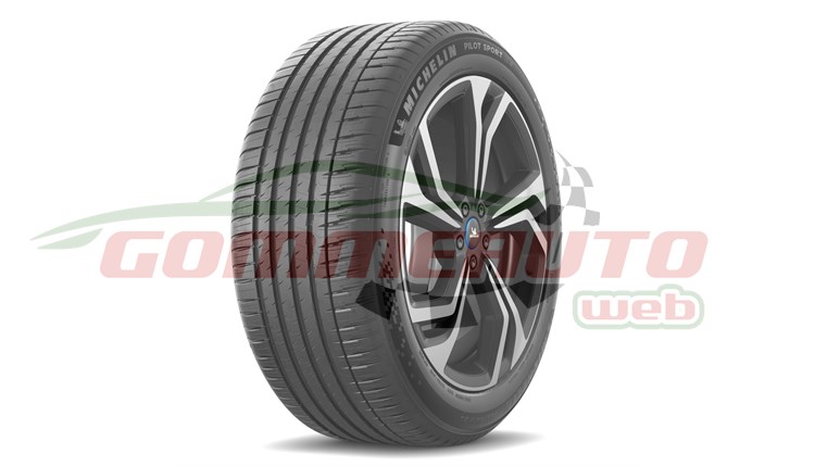 COP. 255/55 R20 110V P. SPORT EV